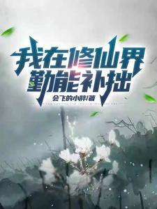 我在修仙界勤能补拙分类仙侠修真作者会飞的小胖