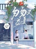匆匆又夏天的文案