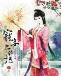 宠妾上位记讲的是什么