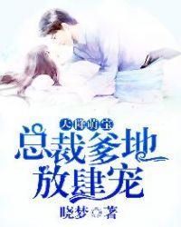 天降萌宝总裁爹地放肆宠 昼美