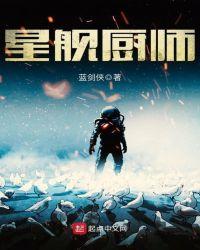 星舰材料