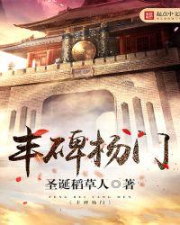 丰碑杨门txt