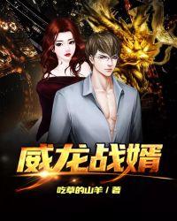 威龙战婿杨昊