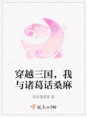 穿越三国遇诸葛亮