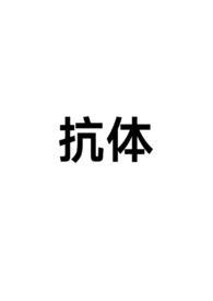 抗体结构示意图
