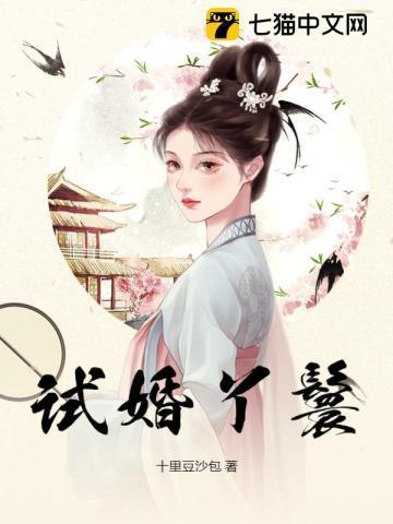 试婚丫鬟锦鸢赵非荀