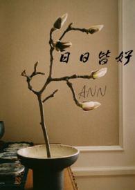 日日皆好(NP) 作者ann