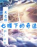 七曜下的奇迹免费阅读