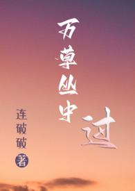 万草丛中一只猫全文免费阅读