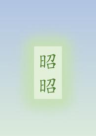 昭昭入怀