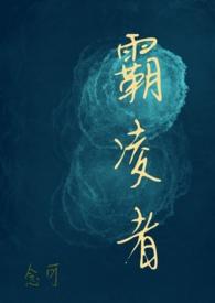 霸凌者(校园H)作者念可著