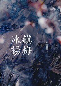 冰镇杨梅做法视频