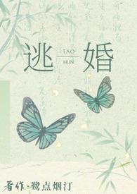 逃婚之后结局