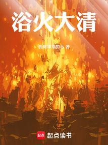 浴火大清TXT电子书