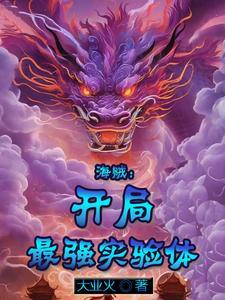 海贼开局提问