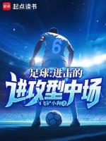 足球进击的进攻型中场无防盗