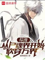 综漫从尸魂界开始砍穿万界(1-1002)
