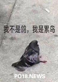 活化石简单解释