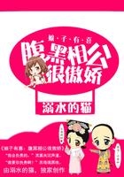 腹黑相公宠不停全文大结局