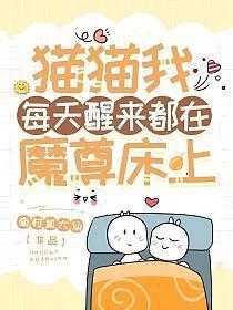 猫猫我每天醒来都在魔尊床上作者南村狐大仙