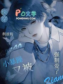快穿小暴躁又被强制爱了二十一章在线阅读