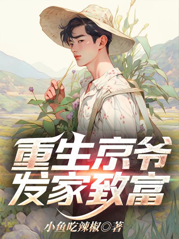 重生京城大世家的官场