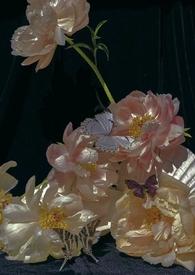 午夜时刻是哪个时间段