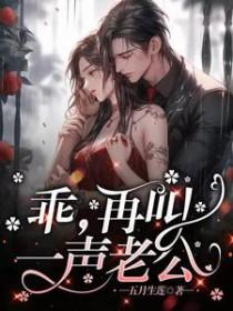 再叫一声老公txt