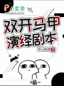 双开马甲演绎剧本君照流在线阅读