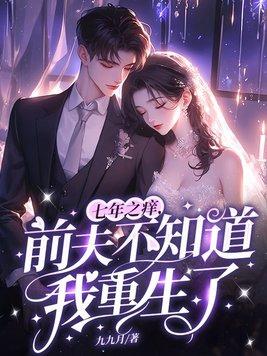 七年后再遇到前夫