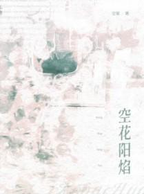 空花阳焰空菊讲的什么