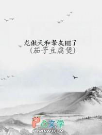 龙傲天和挚友he了百度