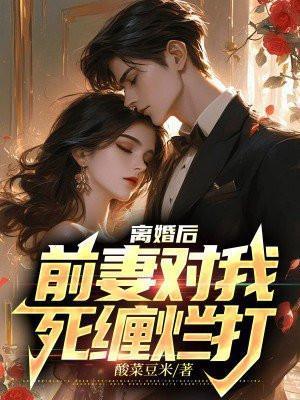 前妻对我死缠烂打酸菜豆米