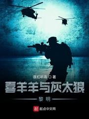 喜羊羊与灰太狼官方