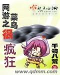 网游之菜鸟闯天下