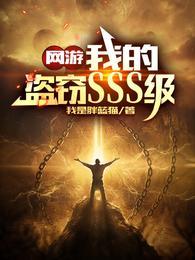网游我的盗窃SSS级 第556章