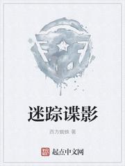 迷踪谍影977章