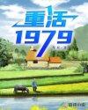 重生1979巅峰怒放TXT