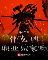 什么叫职业玩家啊