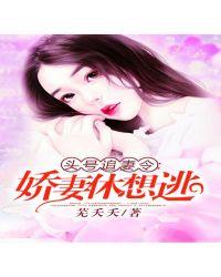 头号追妻令:娇妻,休想逃