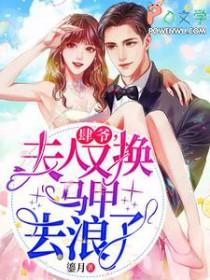 肆爷,夫人又换马甲去浪了